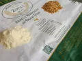 Molino-Zappala