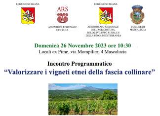 Incontro Programmatico “Valorizzare i vigneti etnei della fascia collinare”